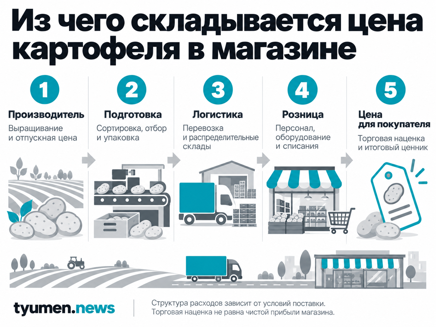 Из чего складывается цена картофеля в магазине